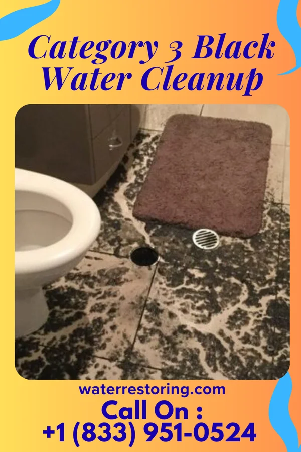 Category 3 Black Water Cleanup in Overland, NE