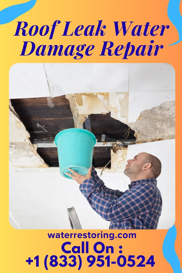 Roof Leak Water Damage Repair in Overland, NE